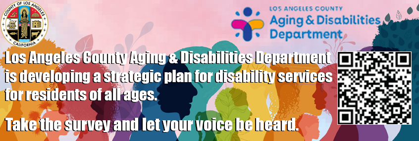 Disability Services Strategy Survey